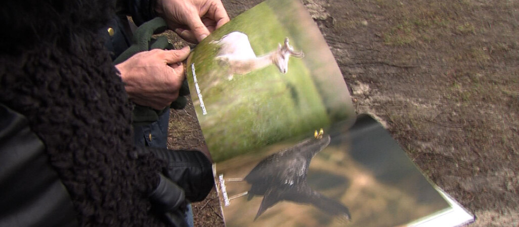 Cuda powiatu złotowskiego