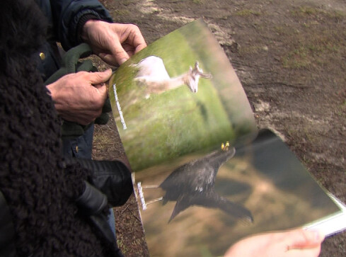 Cuda powiatu złotowskiego - grafika