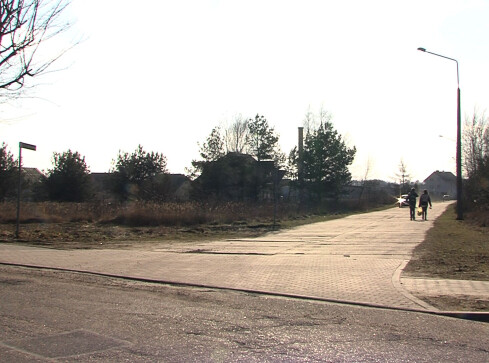 Porządkują ulice - grafika