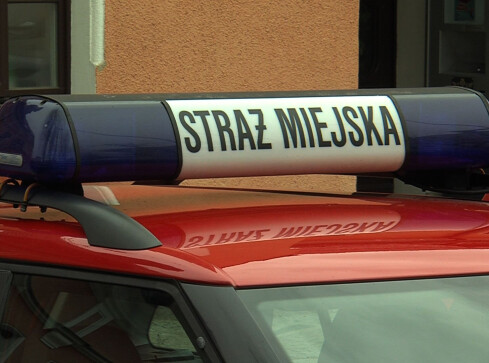Czy straż miejska jest potrzebna? - grafika