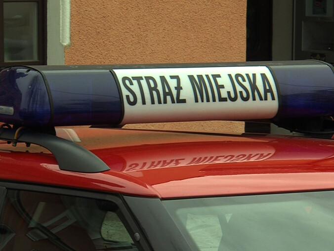 Czy straż miejska jest potrzebna? - grafika