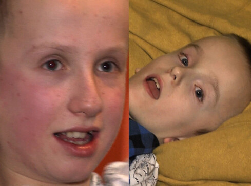 Mały procent - duża sprawa: bracia Jaworscy - grafika