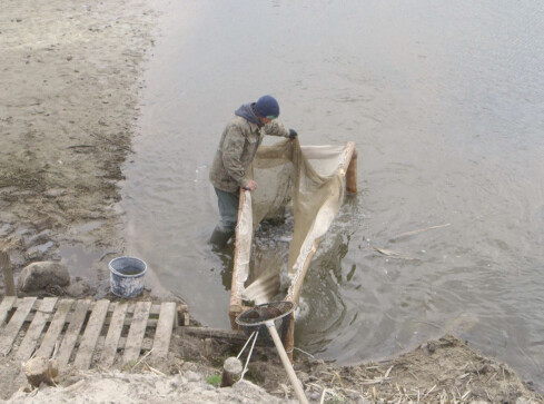 Rusza Przegląd Rolniczy na antenie TV ASTA - grafika