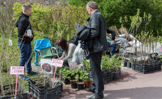 Zobacz fotorelację z targów Miasto i Ogród 2016