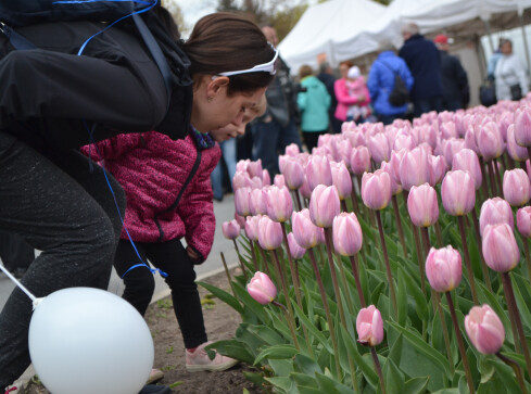 Kolejna stłuczka - przewrócone Renault  - grafika