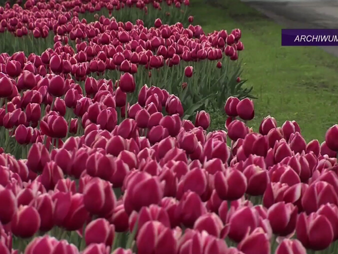 Atrakcyjny weekend w Pile! - grafika