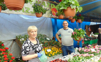 Festiwal Kwiatów na targowisku