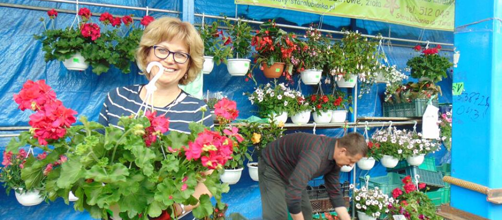 Festiwal Kwiatów na targowisku