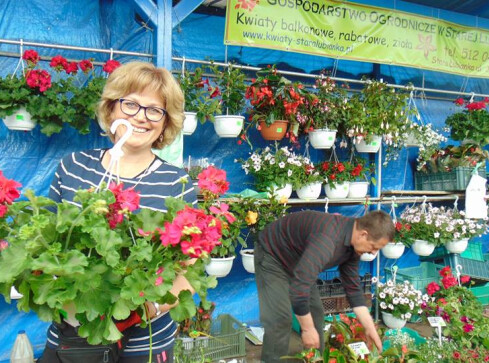 Festiwal Kwiatów na targowisku - grafika