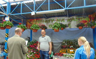 Festiwal Kwiatów na targowisku