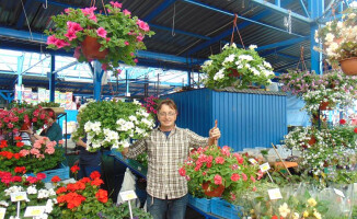 Festiwal Kwiatów na targowisku