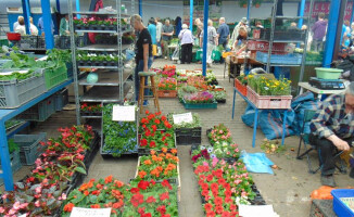 Festiwal Kwiatów na targowisku
