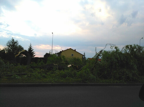 Nawałnica połamała drzewa i zerwała dachy - grafika