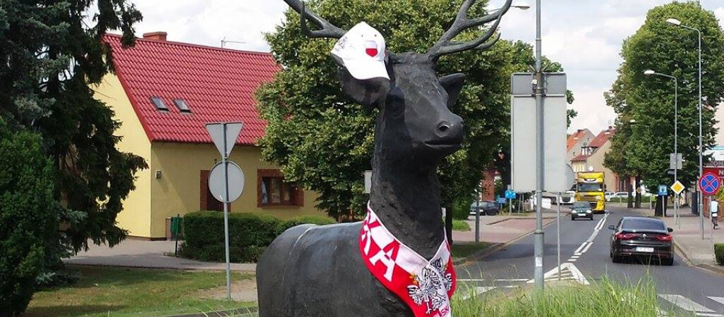 Jeleń w Złotowie też kibicuje naszym zawodnikom