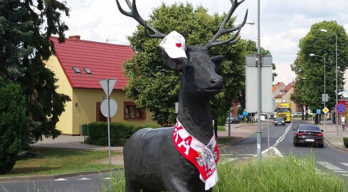 Jeleń w Złotowie też kibicuje naszym zawodnikom - grafika