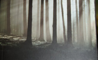 I Ogólnopolski Turniej Szachowy "Pamięci Kresowian" w Pile