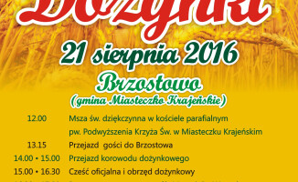 Powiatowe dożynki tym razem w Brzostowie