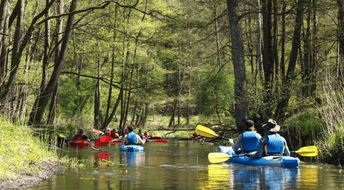 Sportowo po zdrowie - grafika