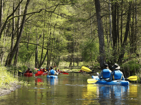 Sportowo po zdrowie - grafika