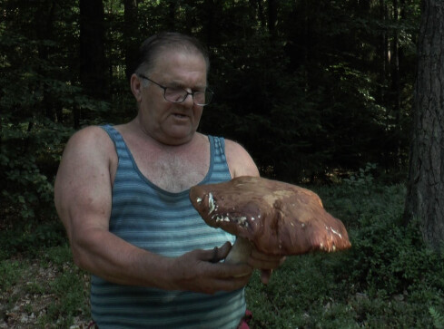 Borowik o wadze 2,5 kg! Taki okaz w naszych lasach - grafika