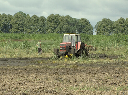 Ściekowy problem - grafika