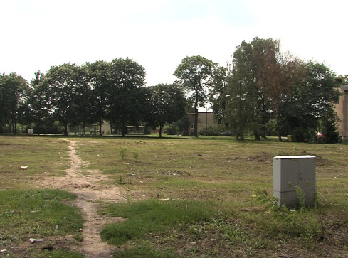 Działki przy ul. Świerkowej w Pile pod młotek - grafika