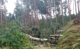 Szkody po burzy w Nadleśnictwie Durowo