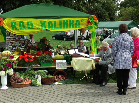 Korso 2016, czyli wystawa działkowców na Wyspie - grafika