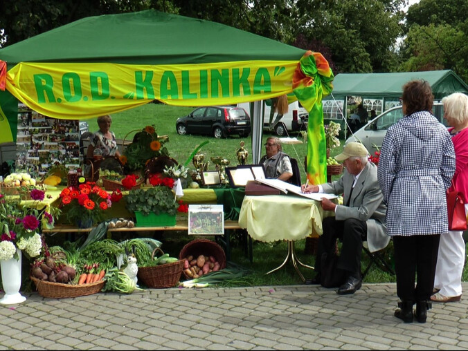 Imprezy w regionie. Sprawdź co, gdzie i kiedy - grafika