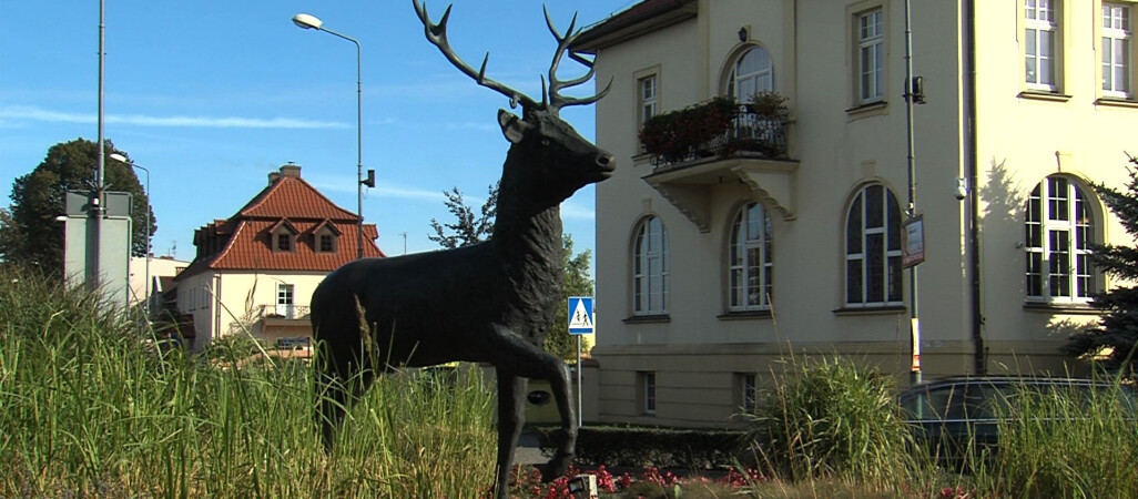 Na co złotowianie wydadzą pół miliona złotych?