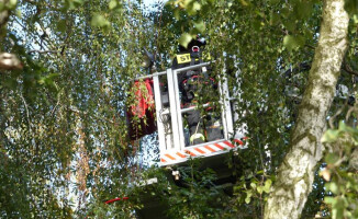 Paralotniarz wpadł na drzewo. Ratowali go strażacy