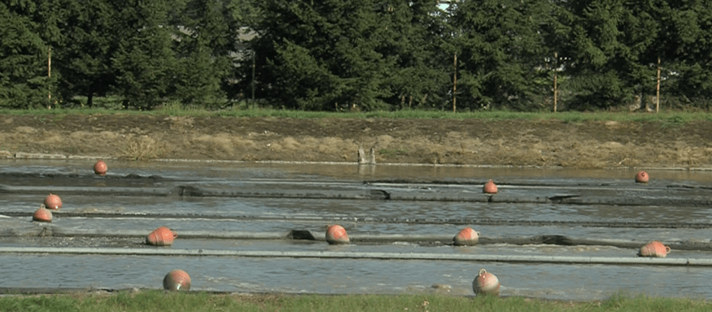 Ściekowy problem w gminie Tarnówka