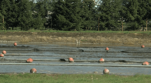 Ściekowy problem w gminie Tarnówka - grafika