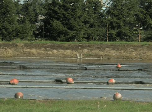 Ściekowy problem w gminie Tarnówka - grafika