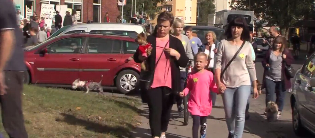 Parada psów i petycja w sprawie schroniska