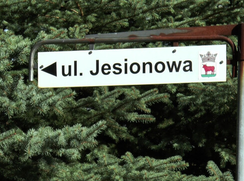 A miała być nowa droga... - grafika