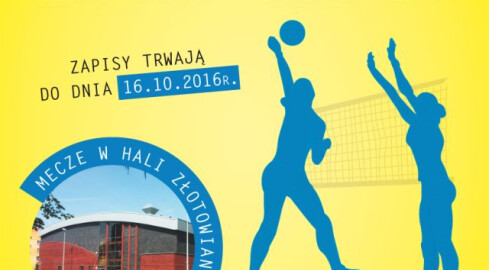 Złotowska Liga Piłki Siatkowej - grafika