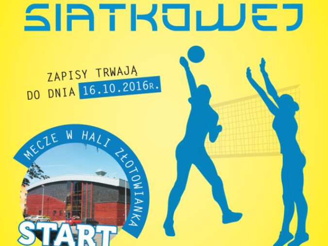 Złotowska Liga Piłki Siatkowej - grafika