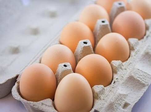 Ostrzeżenie przed salmonellą! - grafika