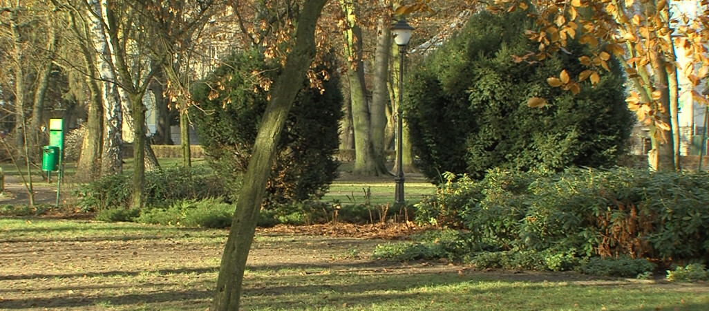 Zielony Złotów