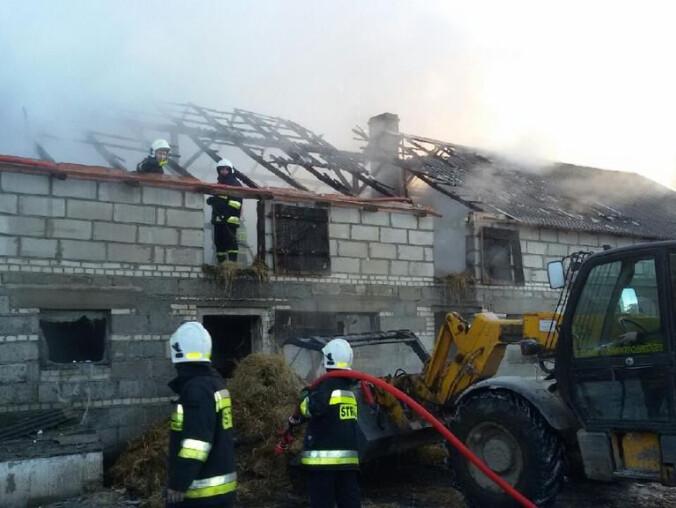 Pożar gospodarstwa w Kościerzynie - grafika