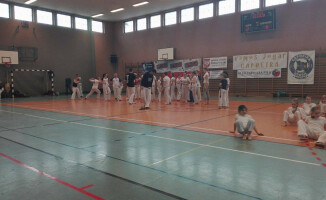 Capoeira w szkole