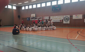 Capoeira w szkole