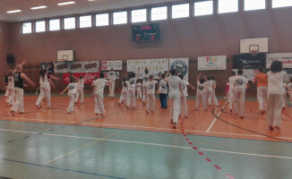 Capoeira w szkole