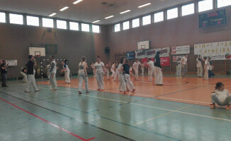 Capoeira w szkole