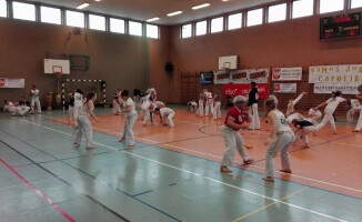 Capoeira w szkole