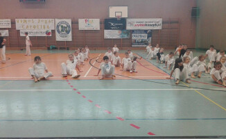 Capoeira w szkole