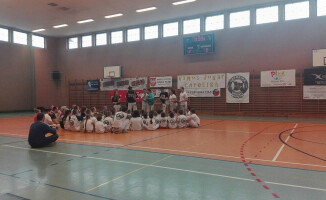 Capoeira w szkole