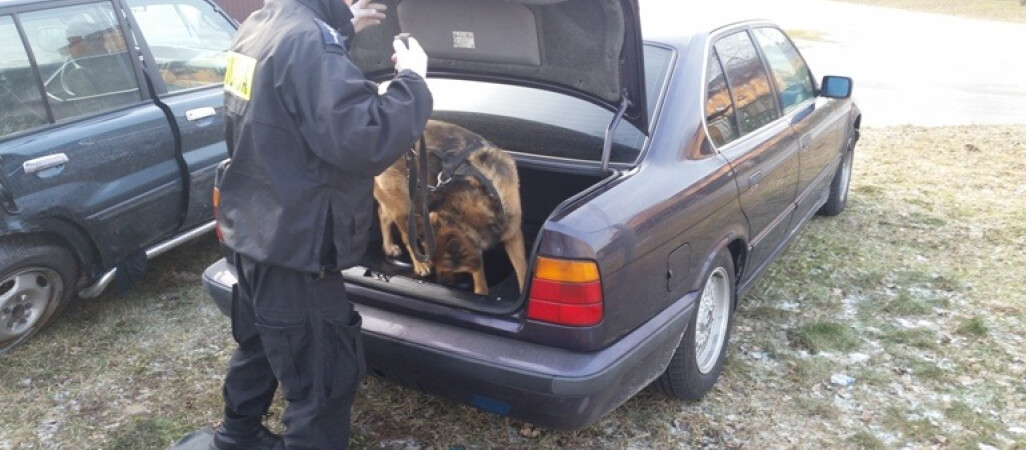 Pies wytropił narkotyki schowane w BMW