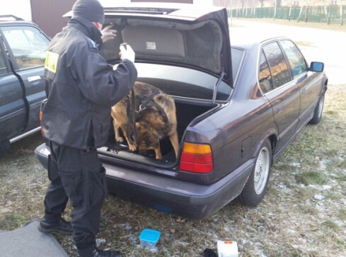 Pies wytropił narkotyki schowane w BMW - grafika